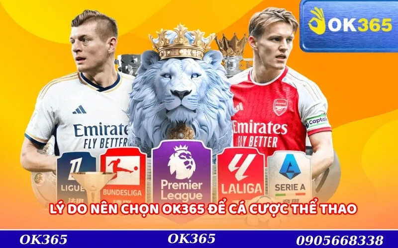 Lý do nên chọn OK365 để cá cược thể thao